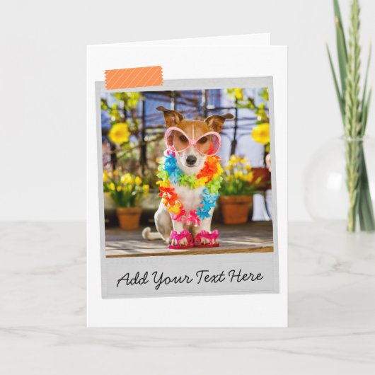 ジャックラッセルのユーモアカード カード (正面)