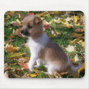 ジャックラッセルの子犬 マウスパッド
