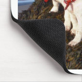 ジャックラッセルの子犬 マウスパッド (コーナー)