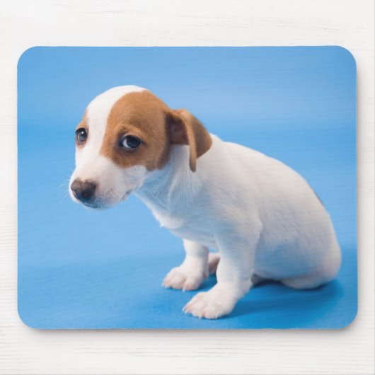 ジャックラッセルの子犬 マウスパッド (正面)