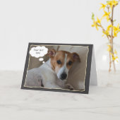 ジャックラッセルの挨拶状 カード (黄色い花)