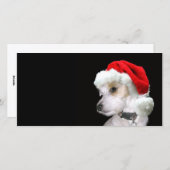ジャックラッセルサンタ シーズンカード (正面/裏面)