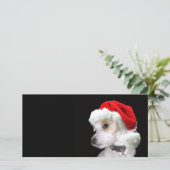 ジャックラッセルサンタ シーズンカード (スタンド正面)