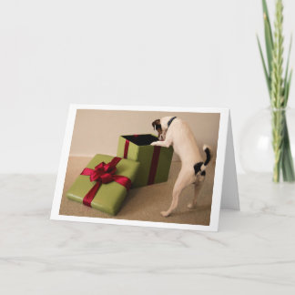 ジャックラッセルテリアのクリスマスカード シーズンカード