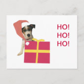 ジャックラッセルテリアのサンタの帽子 シーズンポストカード (正面)