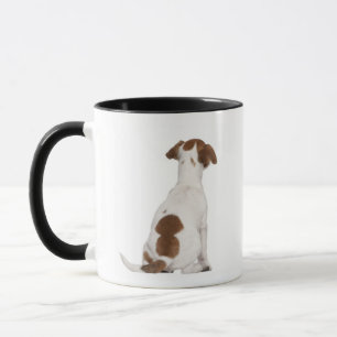 ジャックラッセルテリアの子犬(3か月古い) マグカップ