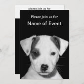 ジャックラッセルテリアパピー 招待状 (正面/裏面)