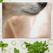 ジャックラッセルテリア犬 キッチンタオル (折り畳み)