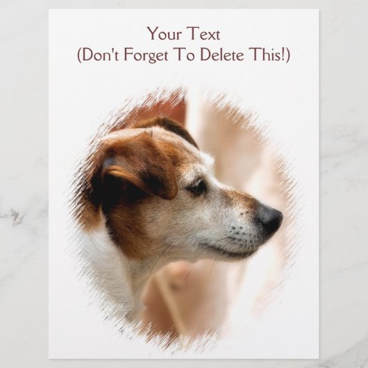 ジャックラッセルテリア犬 チラシ (正面)