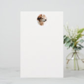 ジャックラッセルテリア犬 便箋 (スタンド正面)