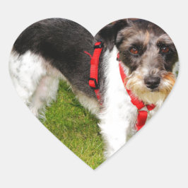 ジャックラッセルテリア ハートシール