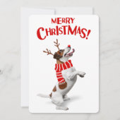 ジャックラッセルテリア 犬 赤い鼻のトナカイの角 クリスマス (正面)