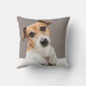 ジャックラッセルパピースウィートカワイルアブルベビージャック クッション (裏面)