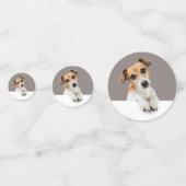 ジャックラッセルパピースウィートカワイルアブルベビーラッセル コンフェッティ (裏面)