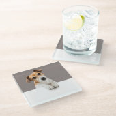 ジャックラッセルパピースウィートカータブルベビーパピー ガラスコースター (アングル)