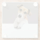 ジャックラッセルパピースウィートカータブルベビーパピー ガラスコースター (裏面)