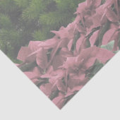 ジャックラッセルピンクポインセティアスティッシュペーパー 薄葉紙 (詳細)