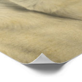 ジャックラッセルヴィンテージはがき ポスター (角)