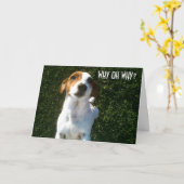 ジャックラッセル「40th」誕生日 カード (黄色い花)