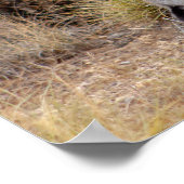 ジャックラビットサボサボサンタFeニューメキシコポスター ポスター (角)