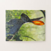 ジャックラビット ジグソーパズル (横)