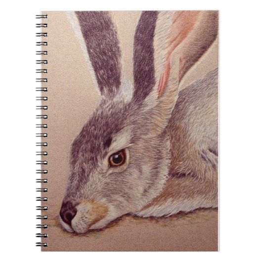 ジャックラビット ノートブック (正面)