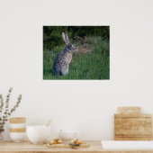 ジャックラビット ポスター (キッチン)