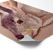 ジャックラビット ポスター (角)