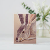 ジャックラビット ポストカード (スタンド正面)