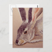 ジャックラビット ポストカード (正面/裏面)