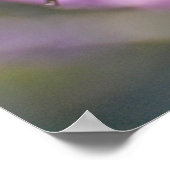 ジャックロンドンマールアンナズハミングバードプリント ポスター (角)