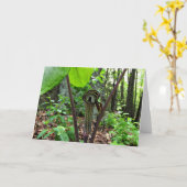 ジャック講壇の挨拶状、中ブランク カード (黄色い花)