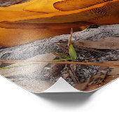 ジャック・オランタン東部キノコ フォトプリント            (角)