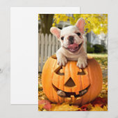 ジャック・オ・ランタンに犬 招待状 (正面/裏面)