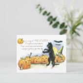 ジャック・オ・ランタンのハロウィン合唱団を率いる黒猫 ポストカード (スタンド正面)