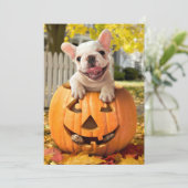 ジャック・オ・ランタンの中の犬 招待状 (スタンド正面)