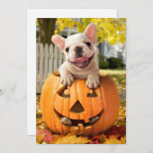 ジャック・オ・ランタンの中の犬 招待状 (正面/裏面)