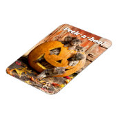 ジャック・オ・ランタンの子猫 マグネット (左側)