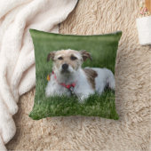 ジャック クッション (ブランケット)