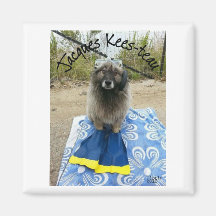 ジャック・ケス・トー