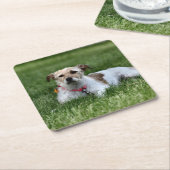 ジャック スクエアペーパーコースター (アングル)