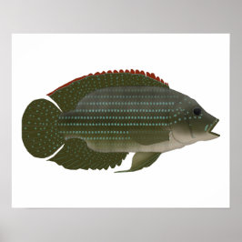 ジャック・デンプシー ポスター