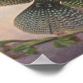 ジャック・デンプシー – Archocenturus octofasciatus P/folio ポスター (角)