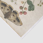 ジャック・ド・モーグによるイチゴと皇帝の蛾 薄葉紙 (詳細)
