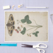 ジャック・ド・モーグによるイチゴと皇帝の蛾 薄葉紙 (クラフト)
