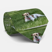 ジャック ネクタイ (ロール)