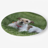 ジャック ペーパープレート (アングル)