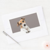 ジャック・ラッセル子犬かわいい愛らしい甘い 長方形シール (封筒)
