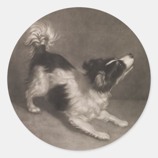 ジャック・ラッセル・ステッカー ラウンドシール (正面)