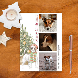 ジャック・ラッセル・テリアのクリスマスツリーペット犬の写真 シーズンカード